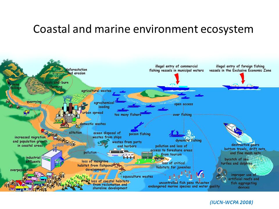 Coastal and marine environment ecosystem (IUCN-WCPA 2008)