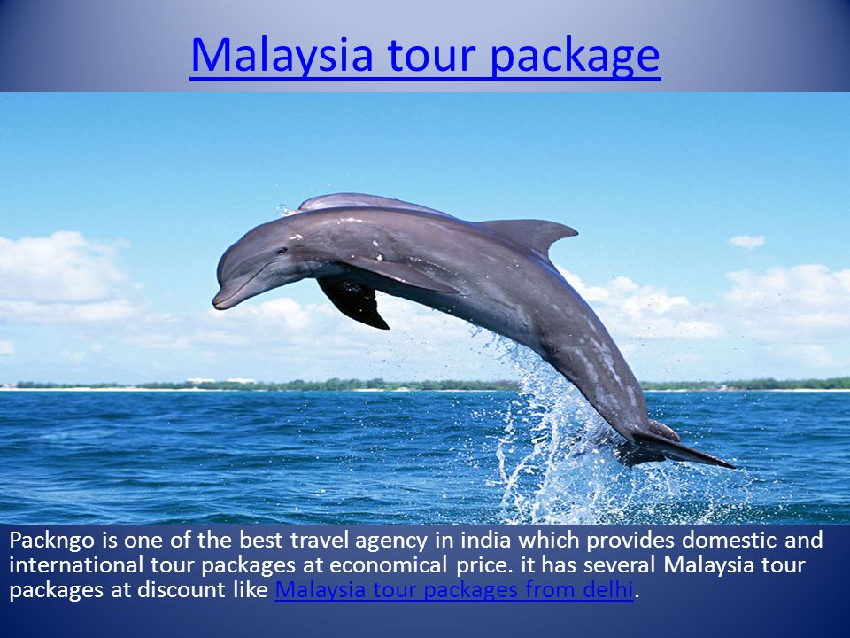 Malaysia tour package Packngo is one of the best travel agency in india which provides domestic and international tour packages at economical price.
