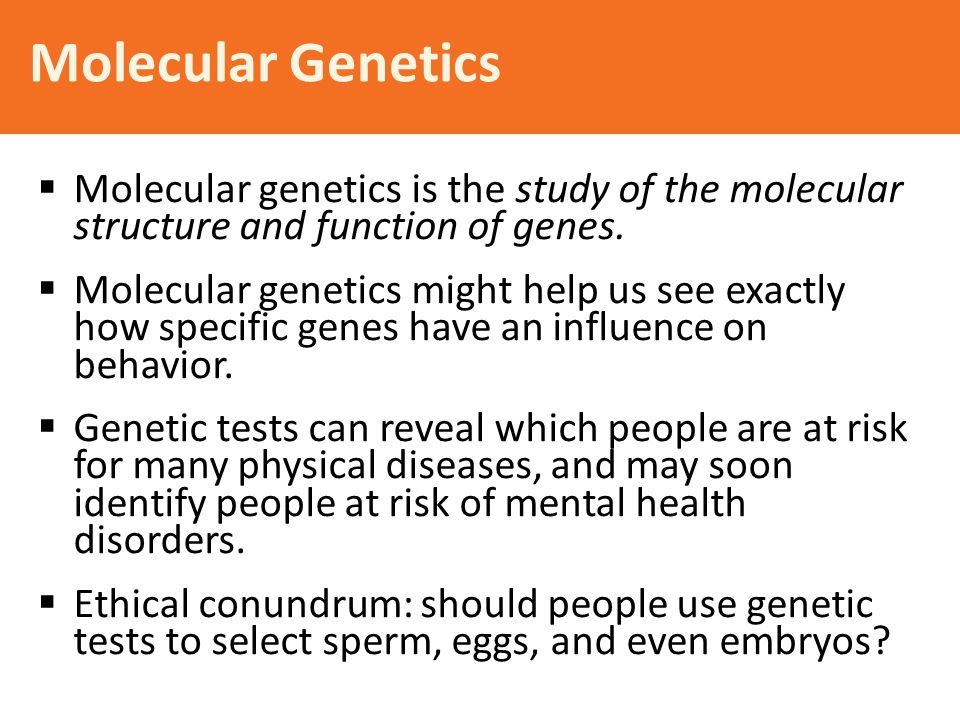 Molecular Genetics  Molecular genetics is the study of the molecular structure and function of genes.
