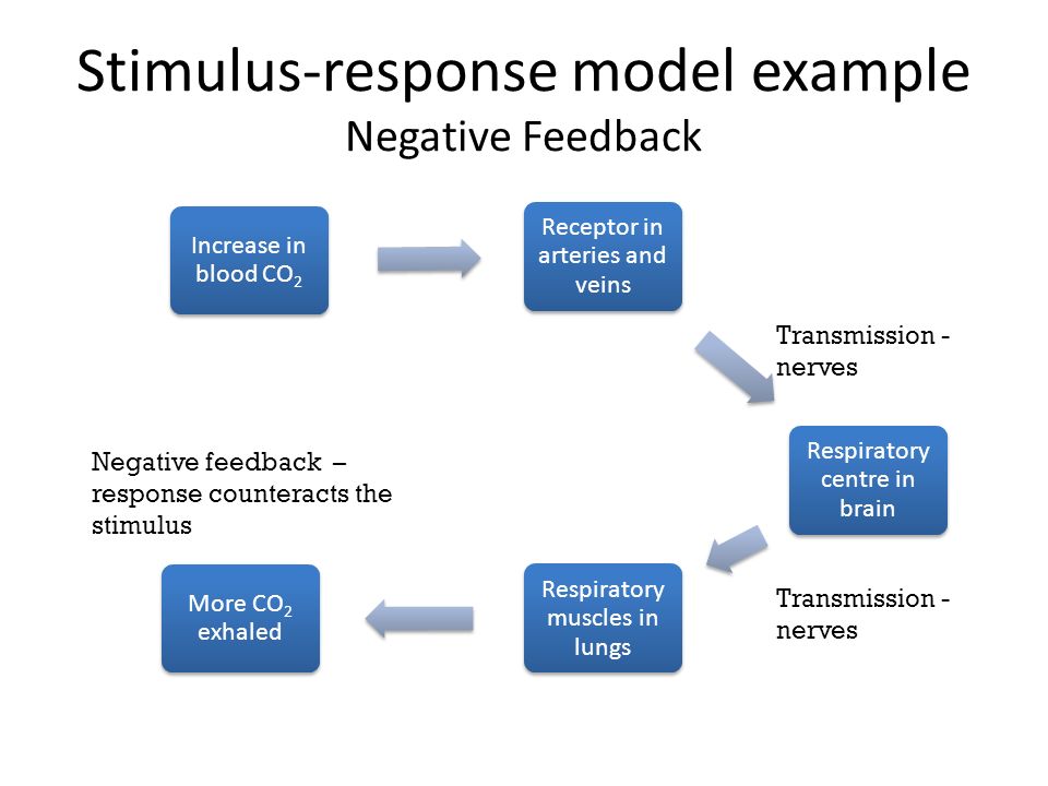 Response. Стимулус. Stimulus response упражнения. Поле класса response.