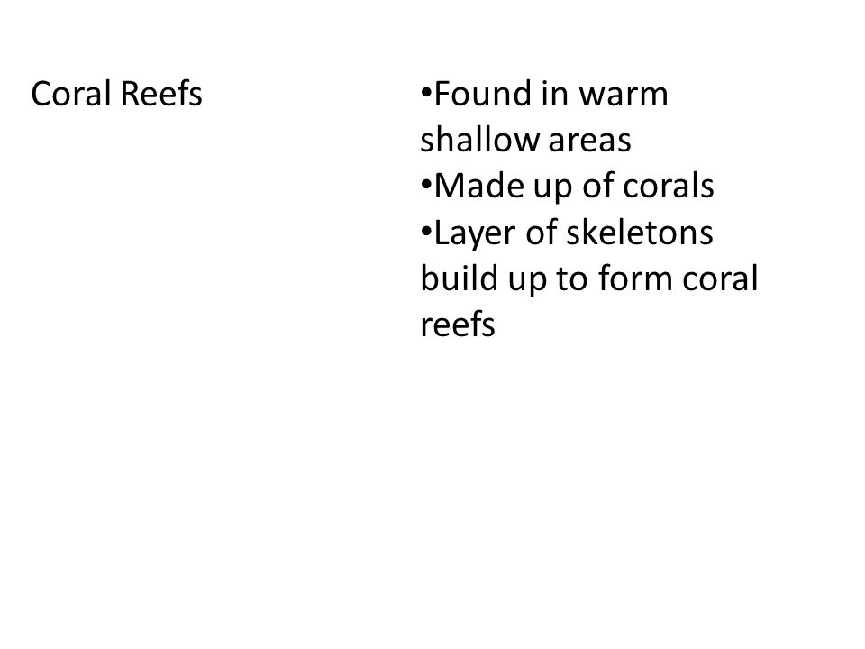 Coral Reefs Found in warm shallow areas Made up of corals Layer of skeletons build up to form coral reefs