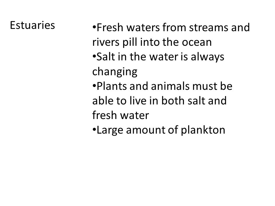 Estuaries Fresh waters from streams and rivers pill into the ocean Salt in the water is always changing Plants and animals must be able to live in both salt and fresh water Large amount of plankton