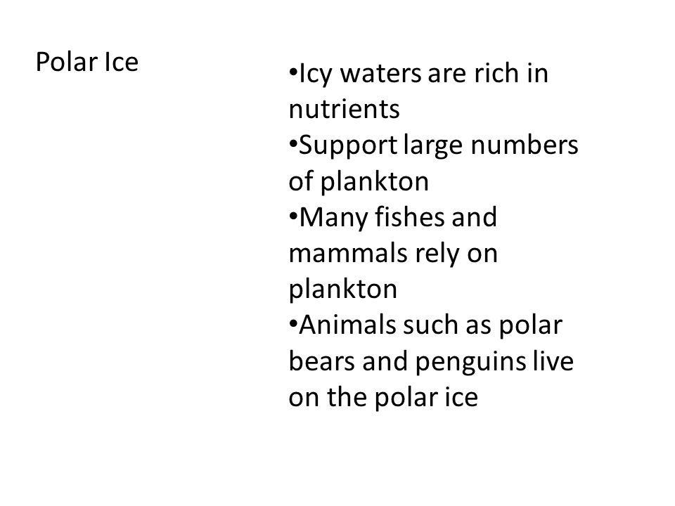Polar Ice Icy waters are rich in nutrients Support large numbers of plankton Many fishes and mammals rely on plankton Animals such as polar bears and penguins live on the polar ice