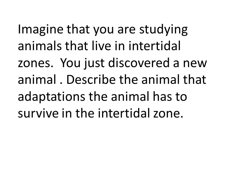 Imagine that you are studying animals that live in intertidal zones.