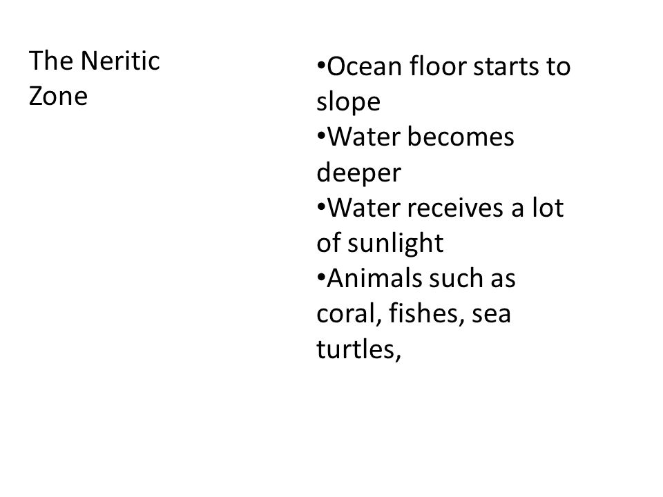 The Neritic Zone Ocean floor starts to slope Water becomes deeper Water receives a lot of sunlight Animals such as coral, fishes, sea turtles,