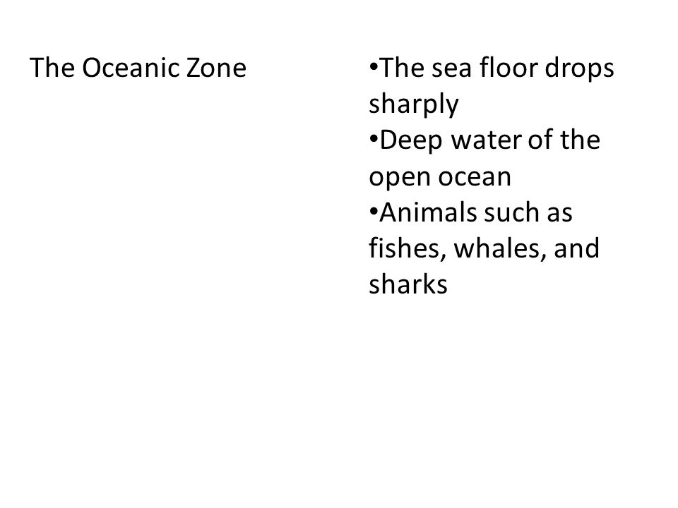 The Oceanic Zone The sea floor drops sharply Deep water of the open ocean Animals such as fishes, whales, and sharks