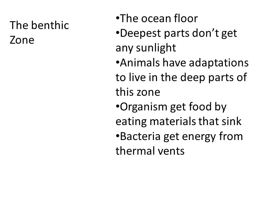 The benthic Zone The ocean floor Deepest parts don’t get any sunlight Animals have adaptations to live in the deep parts of this zone Organism get food by eating materials that sink Bacteria get energy from thermal vents