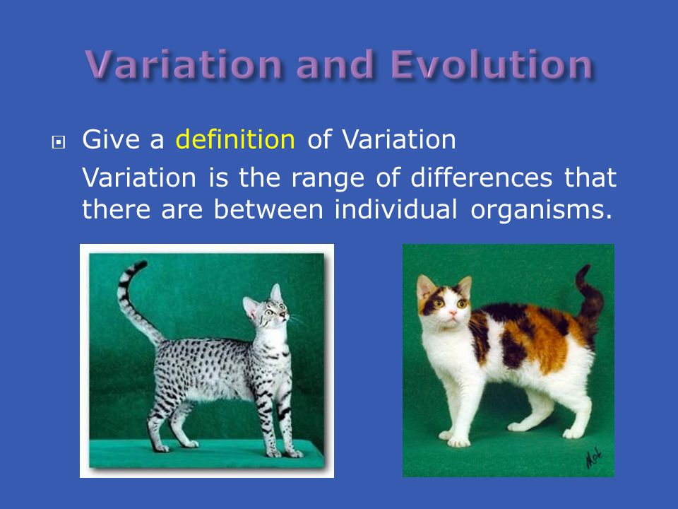 LEARNING OUTCOMES Define the term variation. Discuss the fact that ...