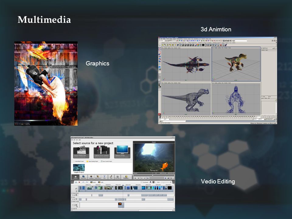 Multimedia Graphics Vedio Editing 3d Animtion