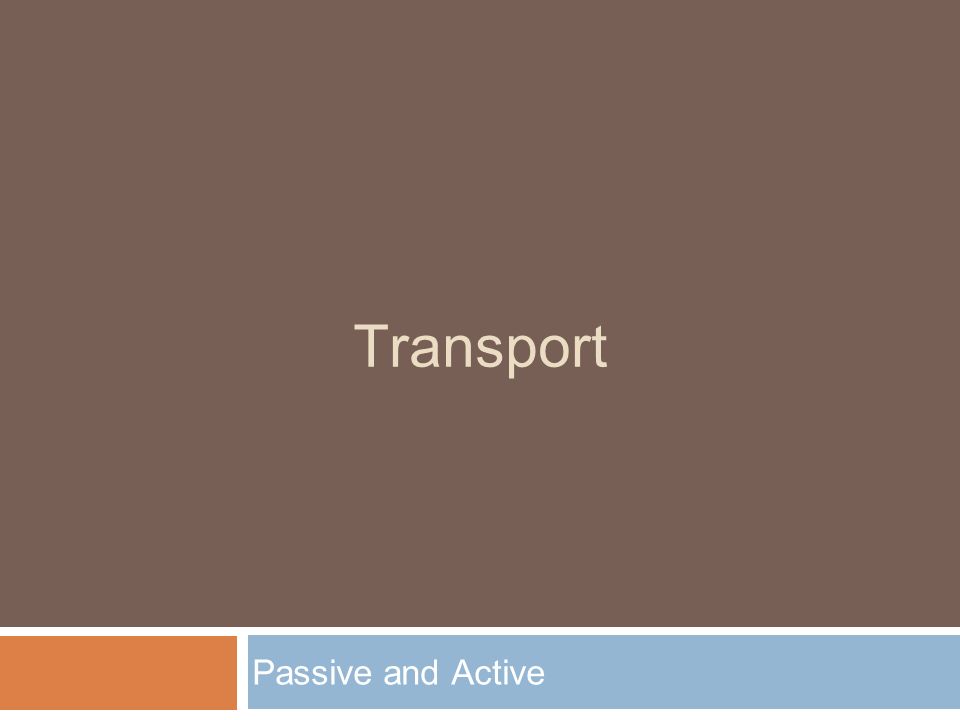 Transport Passive and Active