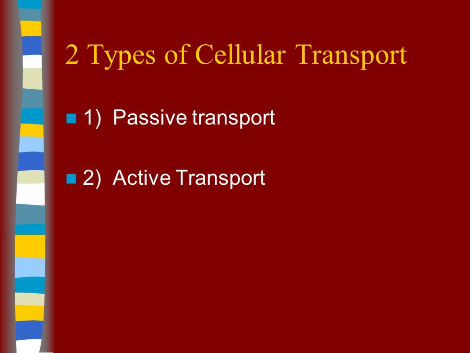 2 Types of Cellular Transport 1) Passive transport 2) Active Transport