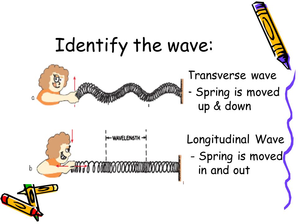 Waves And Interference Transverse Longitudinal Waves Ppt Download