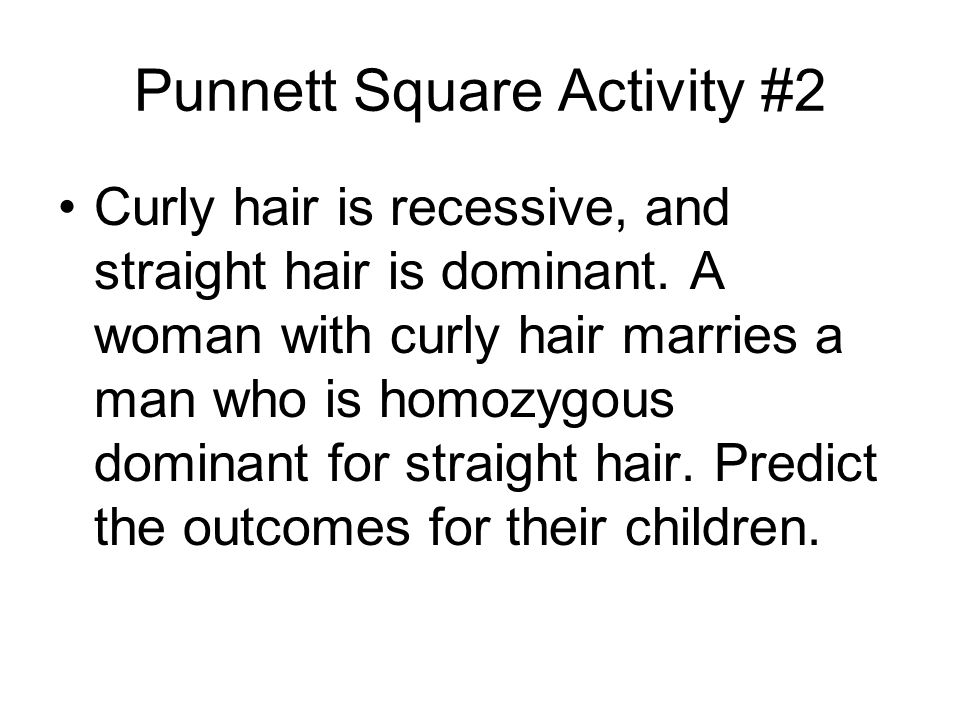 Punnett Square Activity #2 Curly hair is recessive, and straight hair is dominant.