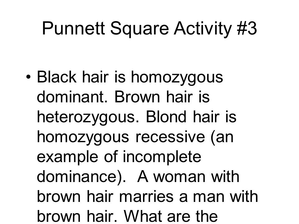 Punnett Square Activity #3 Black hair is homozygous dominant.