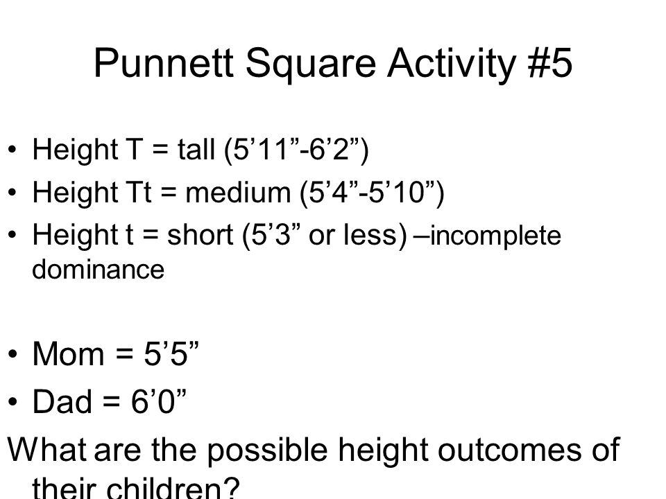 Punnett Square Activity #5 Height T = tall (5’11 -6’2 ) Height Tt = medium (5’4 -5’10 ) Height t = short (5’3 or less) – incomplete dominance Mom = 5’5 Dad = 6’0 What are the possible height outcomes of their children