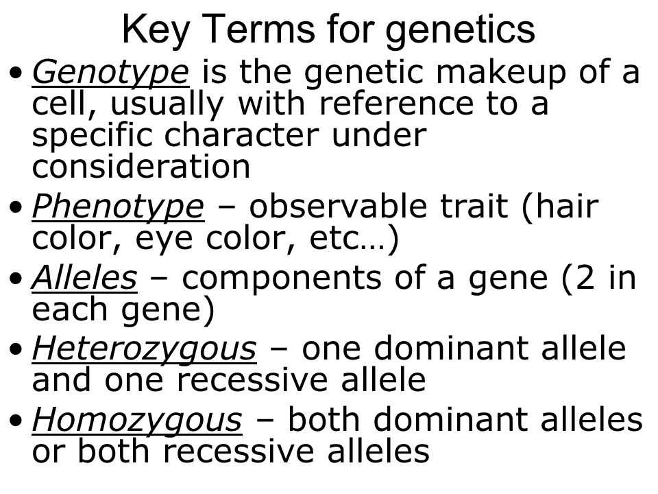 Key Terms for genetics Genotype is the genetic makeup of a cell, usually with reference to a specific character under consideration Phenotype – observable trait (hair color, eye color, etc…) Alleles – components of a gene (2 in each gene) Heterozygous – one dominant allele and one recessive allele Homozygous – both dominant alleles or both recessive alleles