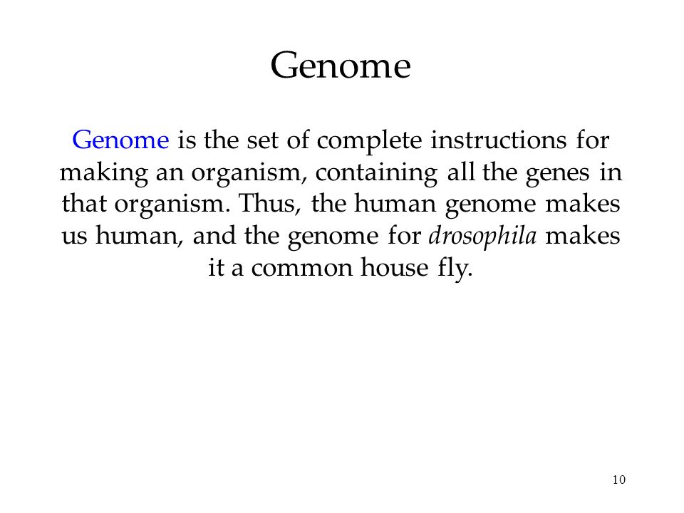 10 Genome Genome is the set of complete instructions for making an organism, containing all the genes in that organism.