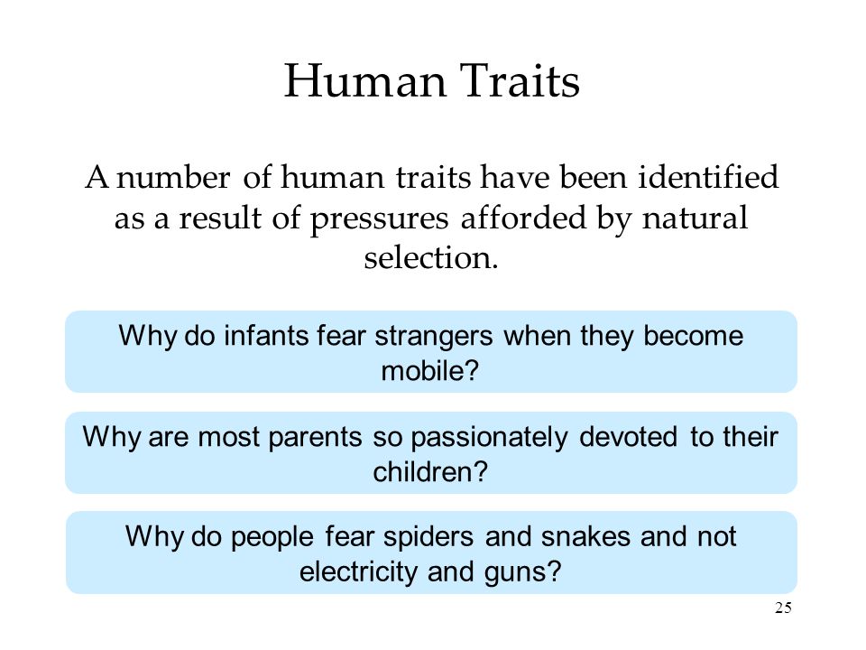 25 Human Traits A number of human traits have been identified as a result of pressures afforded by natural selection.