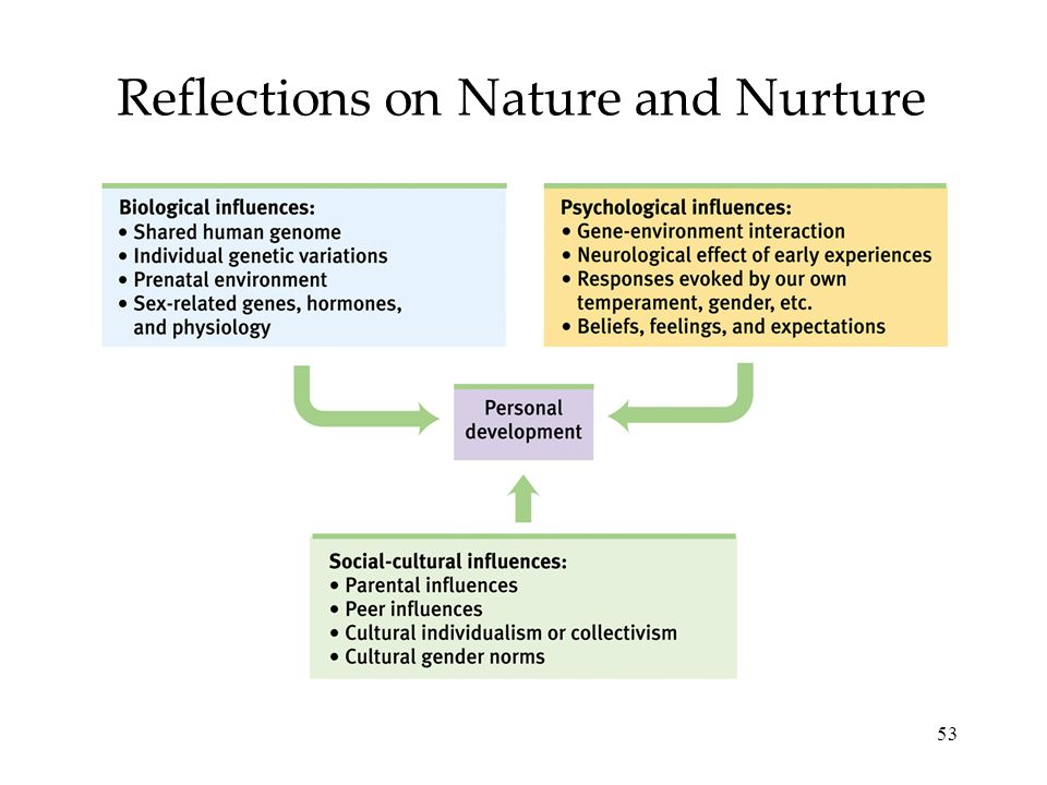 53 Reflections on Nature and Nurture
