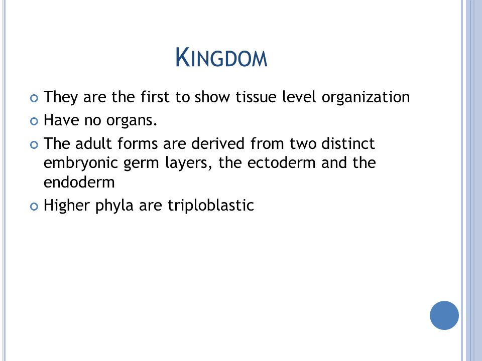 K INGDOM They are the first to show tissue level organization Have no organs.