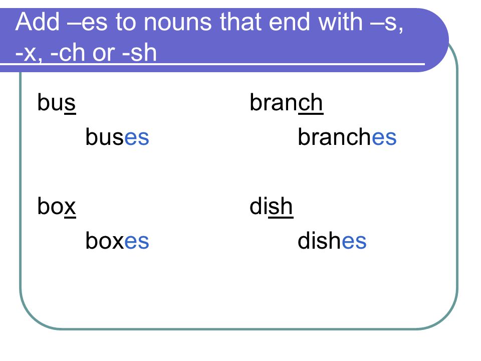 Add –es to nouns that end with –s, -x, -ch or -sh bus buses box boxes branch branches dish dishes