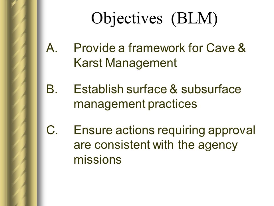 Objectives (BLM) A.Provide a framework for Cave & Karst Management B.Establish surface & subsurface management practices C.Ensure actions requiring approval are consistent with the agency missions
