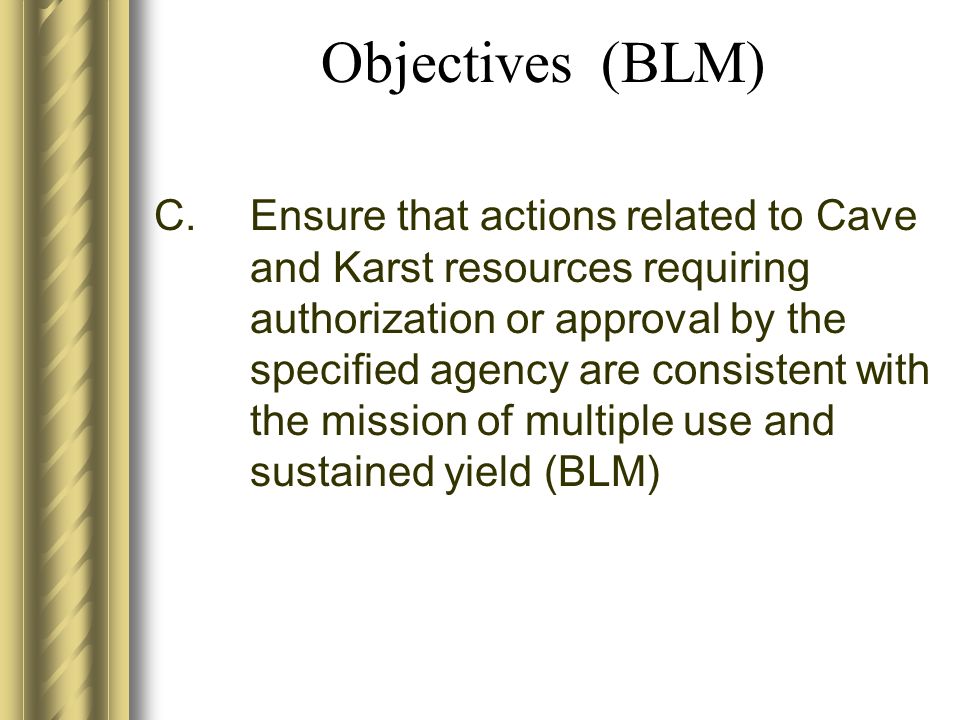 Objectives (BLM) C.Ensure that actions related to Cave and Karst resources requiring authorization or approval by the specified agency are consistent with the mission of multiple use and sustained yield (BLM)