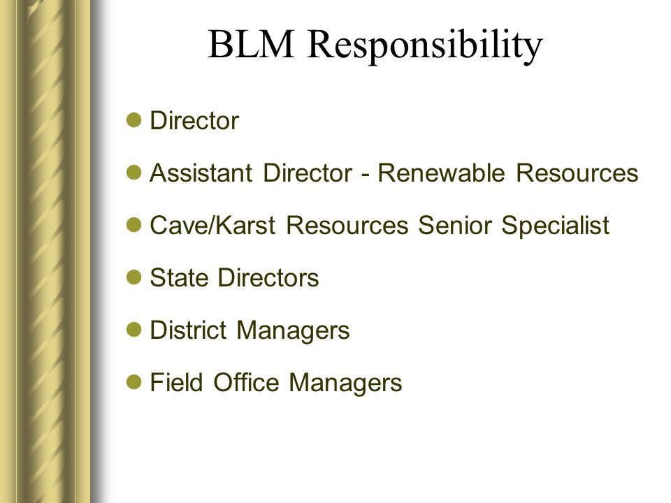 BLM Responsibility Director Assistant Director - Renewable Resources Cave/Karst Resources Senior Specialist State Directors District Managers Field Office Managers