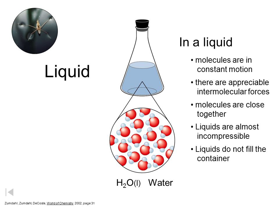 Liquid H 2 O (l) Water Zumdahl, Zumdahl, DeCoste, World of Chemistry  2002, page 31 In a liquid molecules are in constant motion there are appreciable intermolecular forces molecules are close together Liquids are almost incompressible Liquids do not fill the container