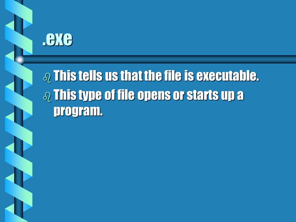 .exe b This tells us that the file is executable. b This type of file opens or starts up a program.