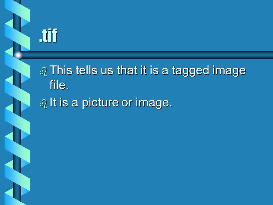 .tif b This tells us that it is a tagged image file. b It is a picture or image.
