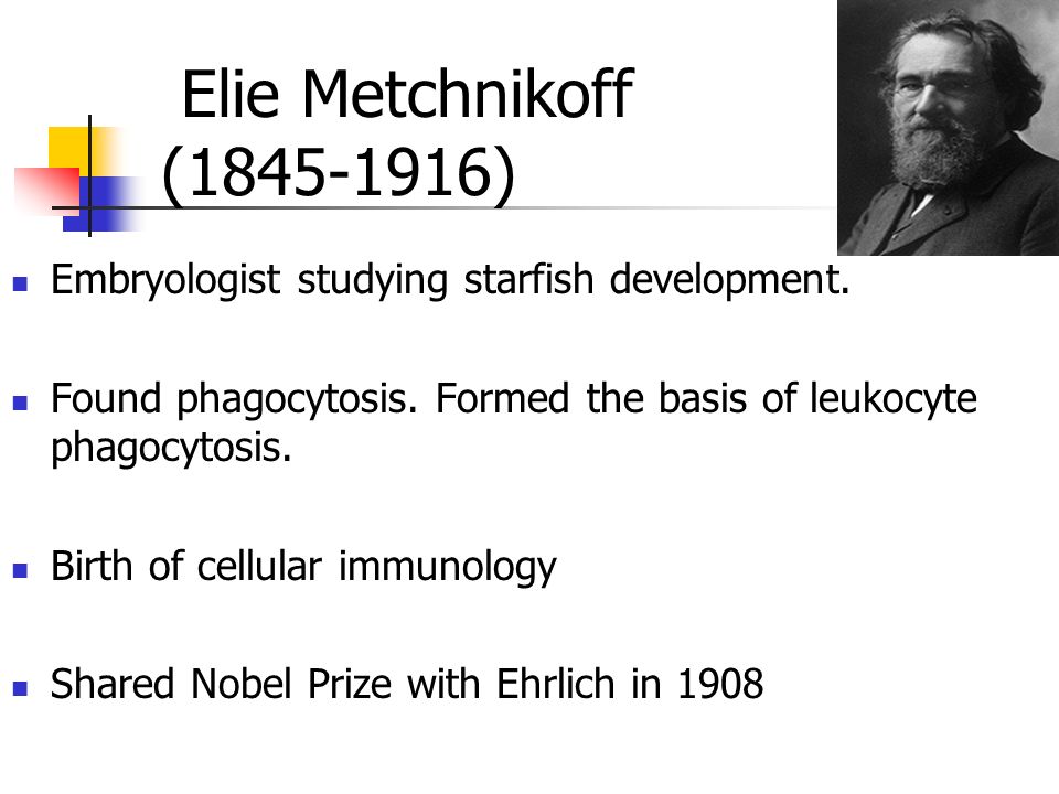 Immunology: An Overview. Definitions  Law. Exemption from a service, obligation, or duty; Freedom from liability to taxation, jurisdiction, etc.; Privilege. - ppt download