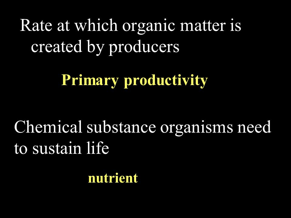 Rate at which organic matter is created by producers Primary productivity Chemical substance organisms need to sustain life nutrient