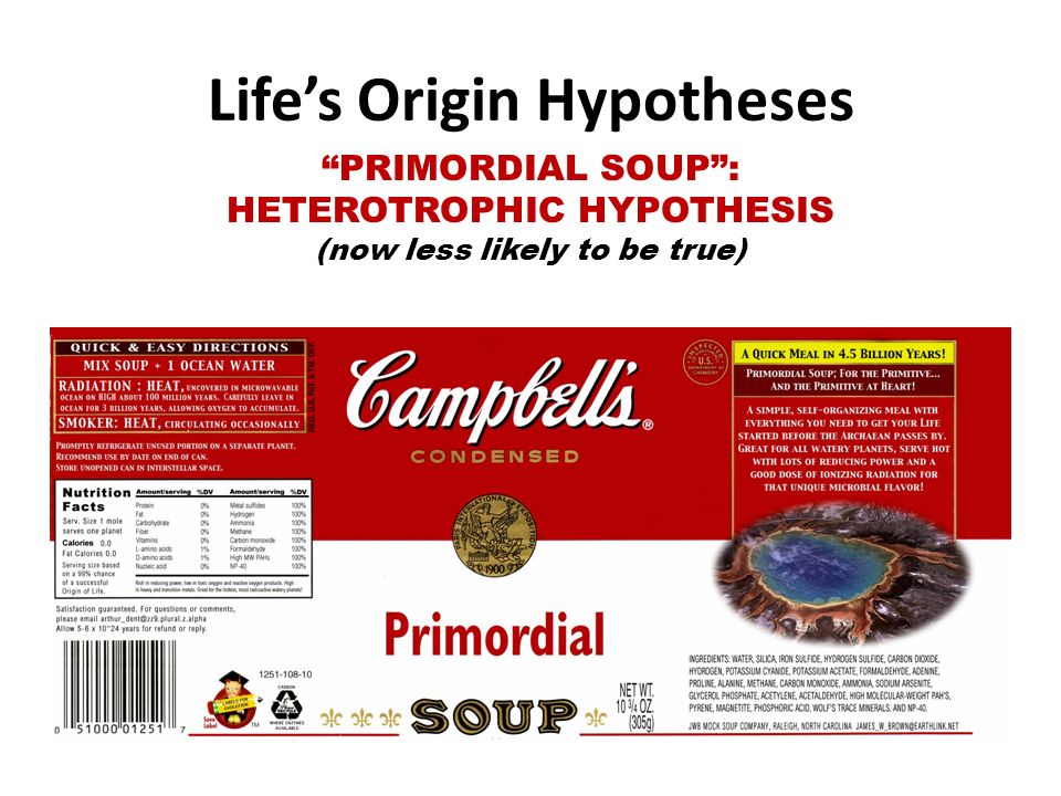 Life’s Origin Hypotheses PRIMORDIAL SOUP : HETEROTROPHIC HYPOTHESIS (now less likely to be true)