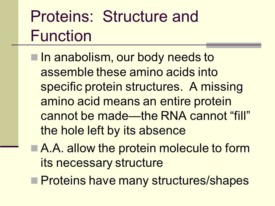 Proteins: Structure and Function In anabolism, our body needs to assemble these amino acids into specific protein structures.