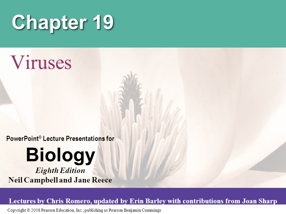Copyright © 2008 Pearson Education, Inc., publishing as Pearson Benjamin Cummings PowerPoint ® Lecture Presentations for Biology Eighth Edition Neil Campbell and Jane Reece Lectures by Chris Romero, updated by Erin Barley with contributions from Joan Sharp Chapter 19 Viruses