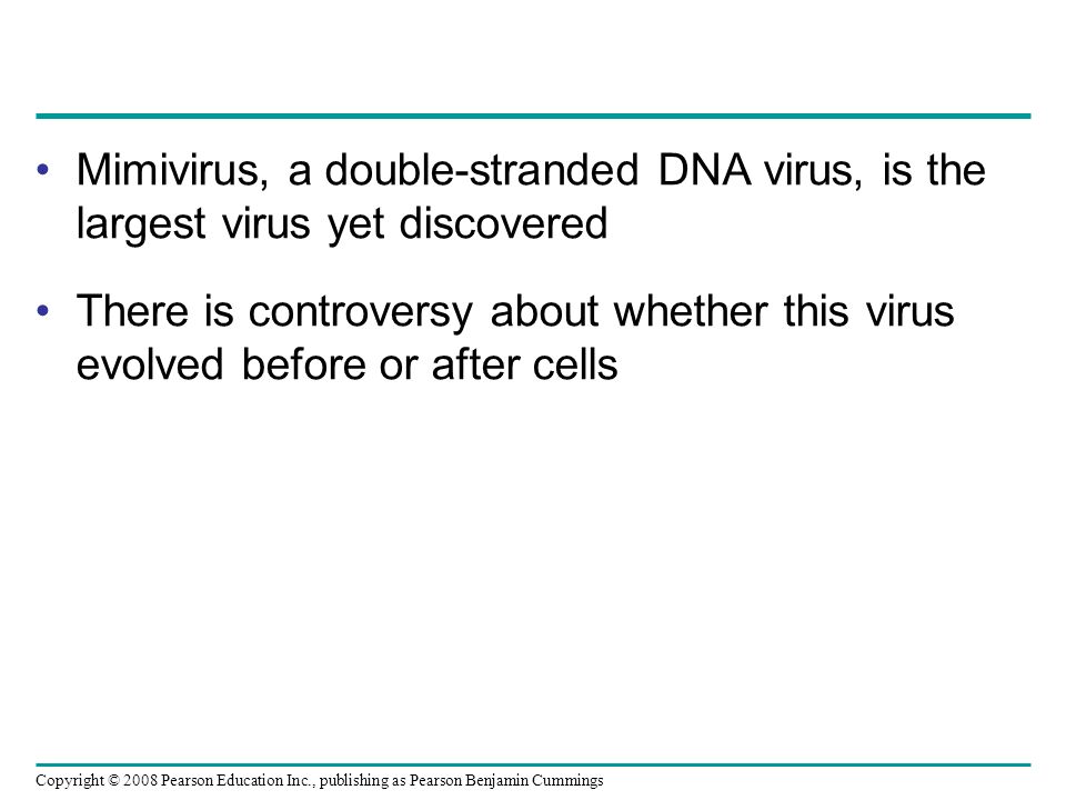 Copyright © 2008 Pearson Education Inc., publishing as Pearson Benjamin Cummings Mimivirus, a double-stranded DNA virus, is the largest virus yet discovered There is controversy about whether this virus evolved before or after cells