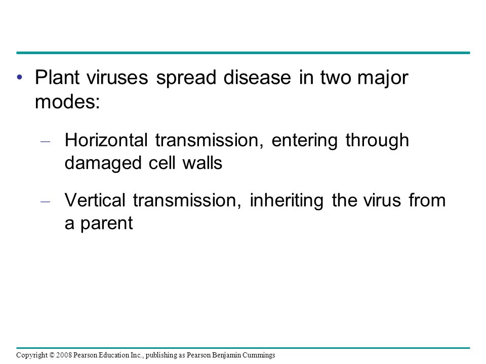 Copyright © 2008 Pearson Education Inc., publishing as Pearson Benjamin Cummings Plant viruses spread disease in two major modes: – Horizontal transmission, entering through damaged cell walls – Vertical transmission, inheriting the virus from a parent