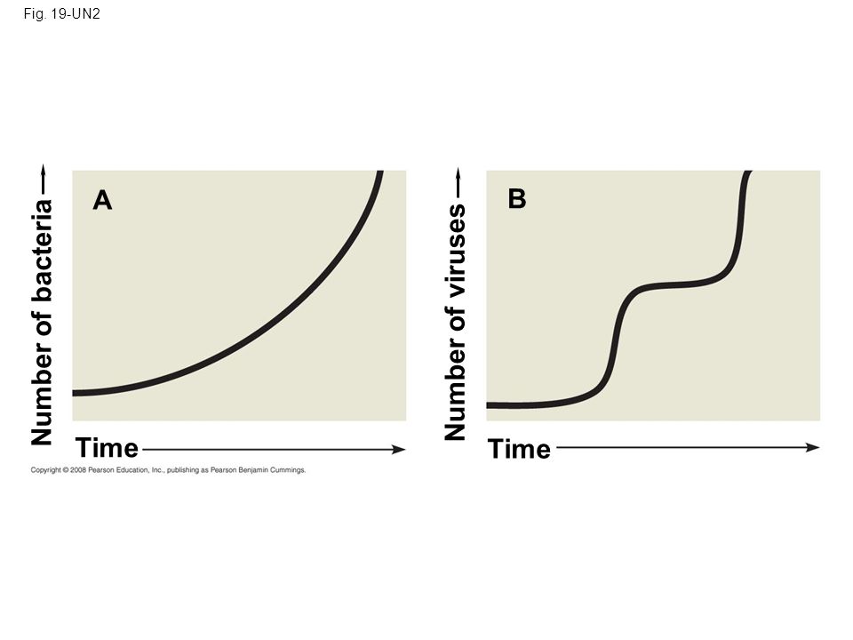 Fig. 19-UN2 Time A B Number of bacteria Number of viruses