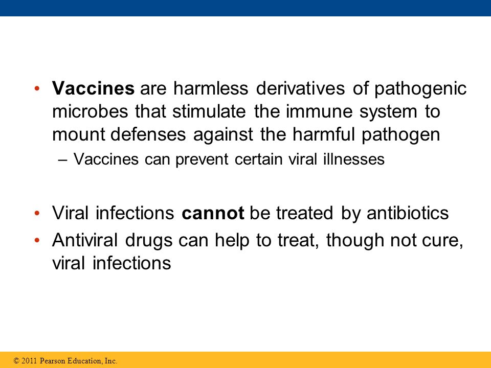 Vaccines are harmless derivatives of pathogenic microbes that stimulate the immune system to mount defenses against the harmful pathogen –Vaccines can prevent certain viral illnesses Viral infections cannot be treated by antibiotics Antiviral drugs can help to treat, though not cure, viral infections © 2011 Pearson Education, Inc.