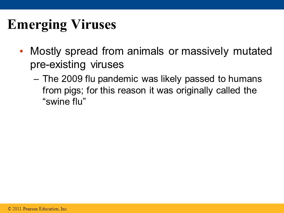 Emerging Viruses Mostly spread from animals or massively mutated pre-existing viruses –The 2009 flu pandemic was likely passed to humans from pigs; for this reason it was originally called the swine flu © 2011 Pearson Education, Inc.