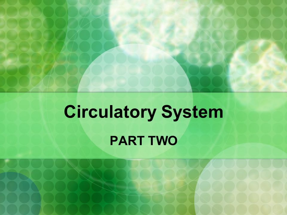 Circulatory System PART TWO