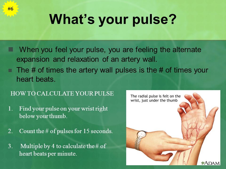 What’s your pulse.