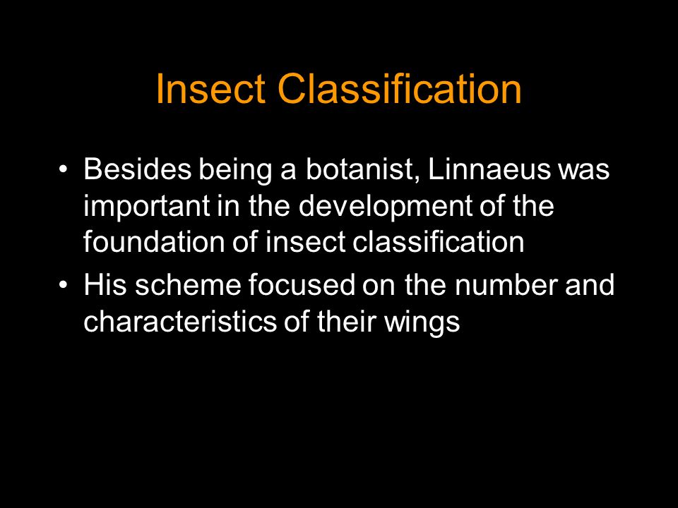 Insect Classification Besides being a botanist, Linnaeus was important in the development of the foundation of insect classification His scheme focused on the number and characteristics of their wings