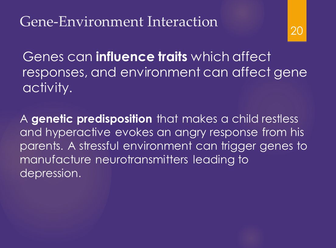 20 Gene-Environment Interaction Genes can influence traits which affect responses, and environment can affect gene activity.