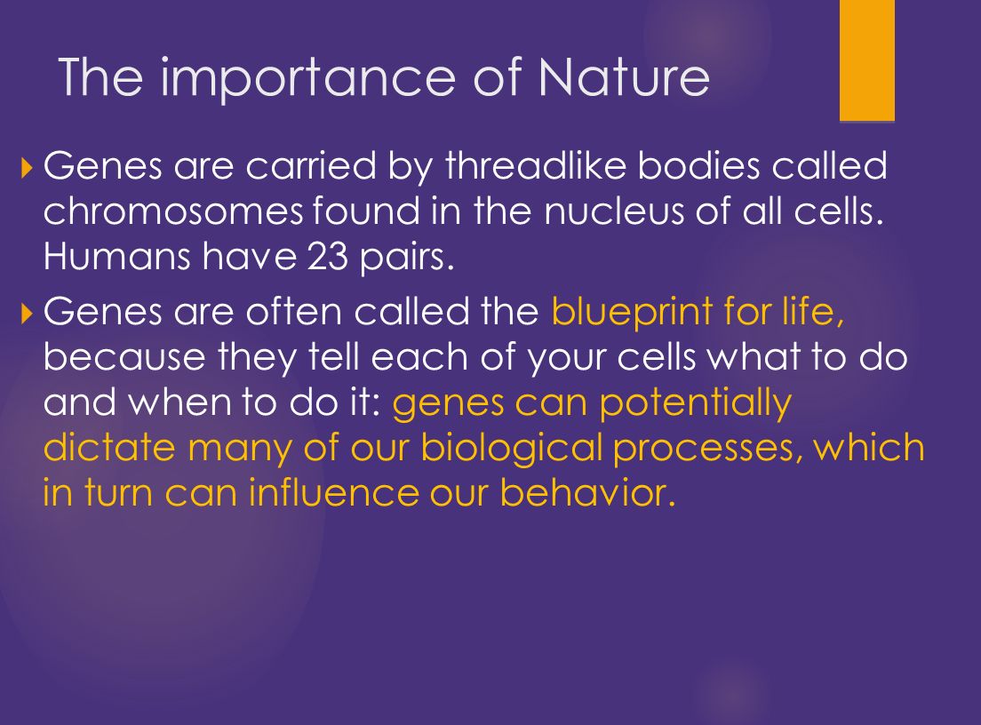  Genes are carried by threadlike bodies called chromosomes found in the nucleus of all cells.