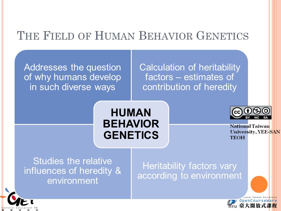 T HE F IELD OF H UMAN B EHAVIOR G ENETICS Addresses the question of why humans develop in such diverse ways Calculation of heritability factors – estimates of contribution of heredity Studies the relative influences of heredity & environment Heritability factors vary according to environment HUMAN BEHAVIOR GENETICS