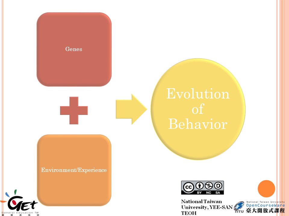 Genes Environment/Experience Evolution of Behavior