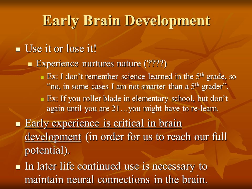 Early Brain Development Use it or lose it. Use it or lose it.