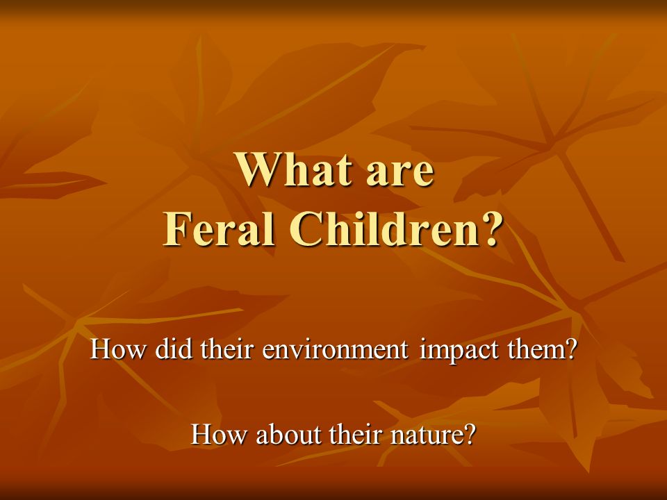 What are Feral Children How did their environment impact them How about their nature